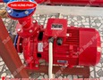 Điện lạnh, Máy, Gia dụng
