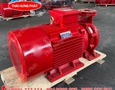 Điện lạnh, Máy, Gia dụng
