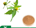 Mua sắm, Tổng Hợp