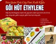 Cơ hội giao thương