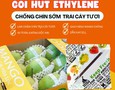 Cơ hội giao thương