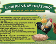 Cơ hội giao thương