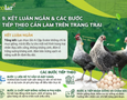 Cơ hội giao thương