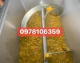 Điện lạnh, Máy, Gia dụng