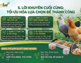 Cơ hội giao thương
