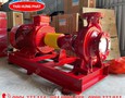 Điện lạnh, Máy, Gia dụng