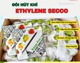 Cơ hội giao thương