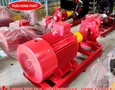 Điện lạnh, Máy, Gia dụng