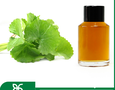 Mua sắm, Tổng Hợp