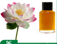Mua sắm, Tổng Hợp