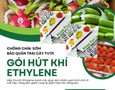 Cơ hội giao thương