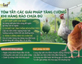 Cơ hội giao thương