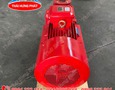 Điện lạnh, Máy, Gia dụng