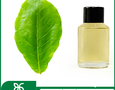 Mua sắm, Tổng Hợp