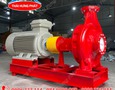 Điện lạnh, Máy, Gia dụng