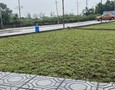 Mua Bán nhà đất