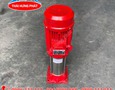 Điện lạnh, Máy, Gia dụng