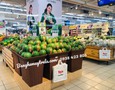 Đồ nội thất