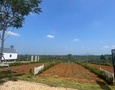 Mua Bán nhà đất