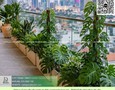 Vườn, Ngoại thất