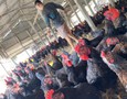 Mua sắm, Tổng Hợp