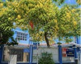 Mua Bán nhà đất