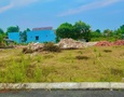 Mua Bán nhà đất