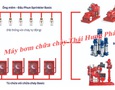Điện lạnh, Máy, Gia dụng