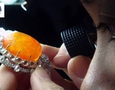 Mua sắm, Tổng Hợp