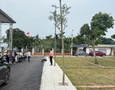Mua Bán nhà đất