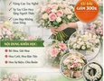 Mua sắm, Tổng Hợp