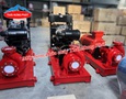 Điện lạnh, Máy, Gia dụng
