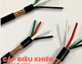 Cơ hội giao thương