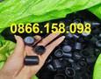 Cơ hội giao thương