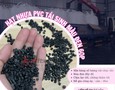 Cơ hội giao thương