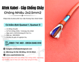 Cơ hội giao thương