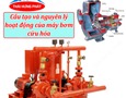 Điện lạnh, Máy, Gia dụng