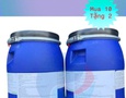 Vườn, Ngoại thất