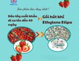 Mua sắm, Tổng Hợp