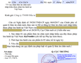 Cơ hội giao thương
