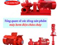 Điện lạnh, Máy, Gia dụng