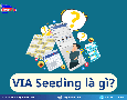 Cơ hội giao thương