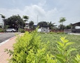 Mua Bán nhà đất