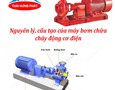 Điện lạnh, Máy, Gia dụng
