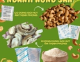 Mua sắm, Tổng Hợp