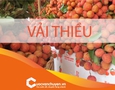 Cơ hội giao thương