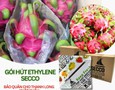 Cơ hội giao thương