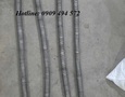 Điện lạnh, Máy, Gia dụng
