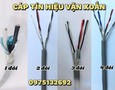 Điện lạnh, Máy, Gia dụng