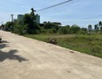 Mua Bán nhà đất